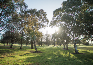 Bushcare