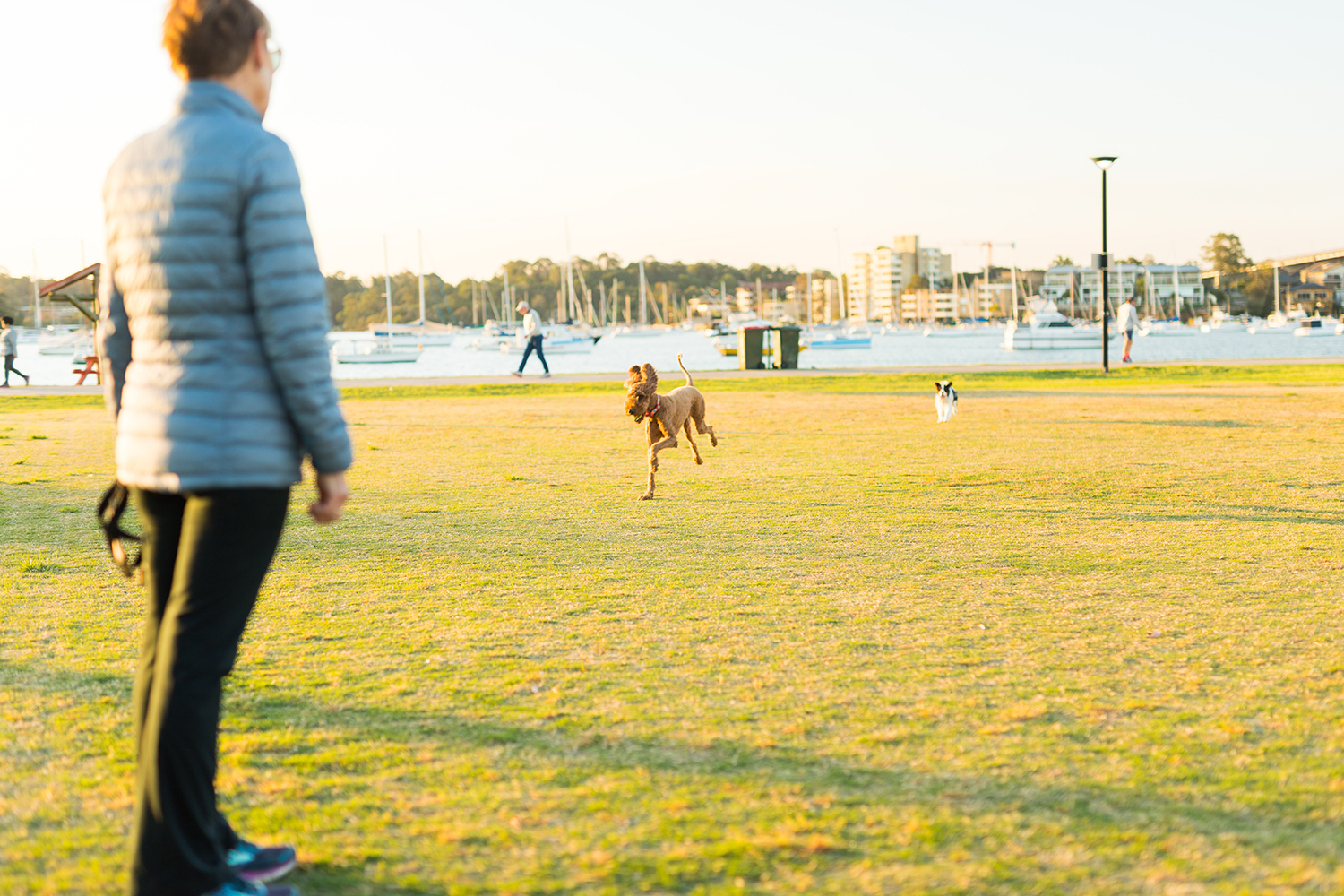 Local off-leash areas