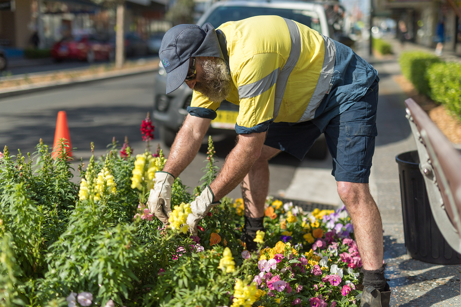 Nature strip planting