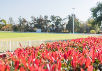 Sports facilities & fields