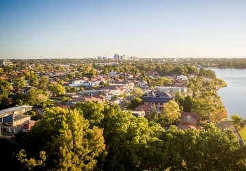 Our urban tree canopy