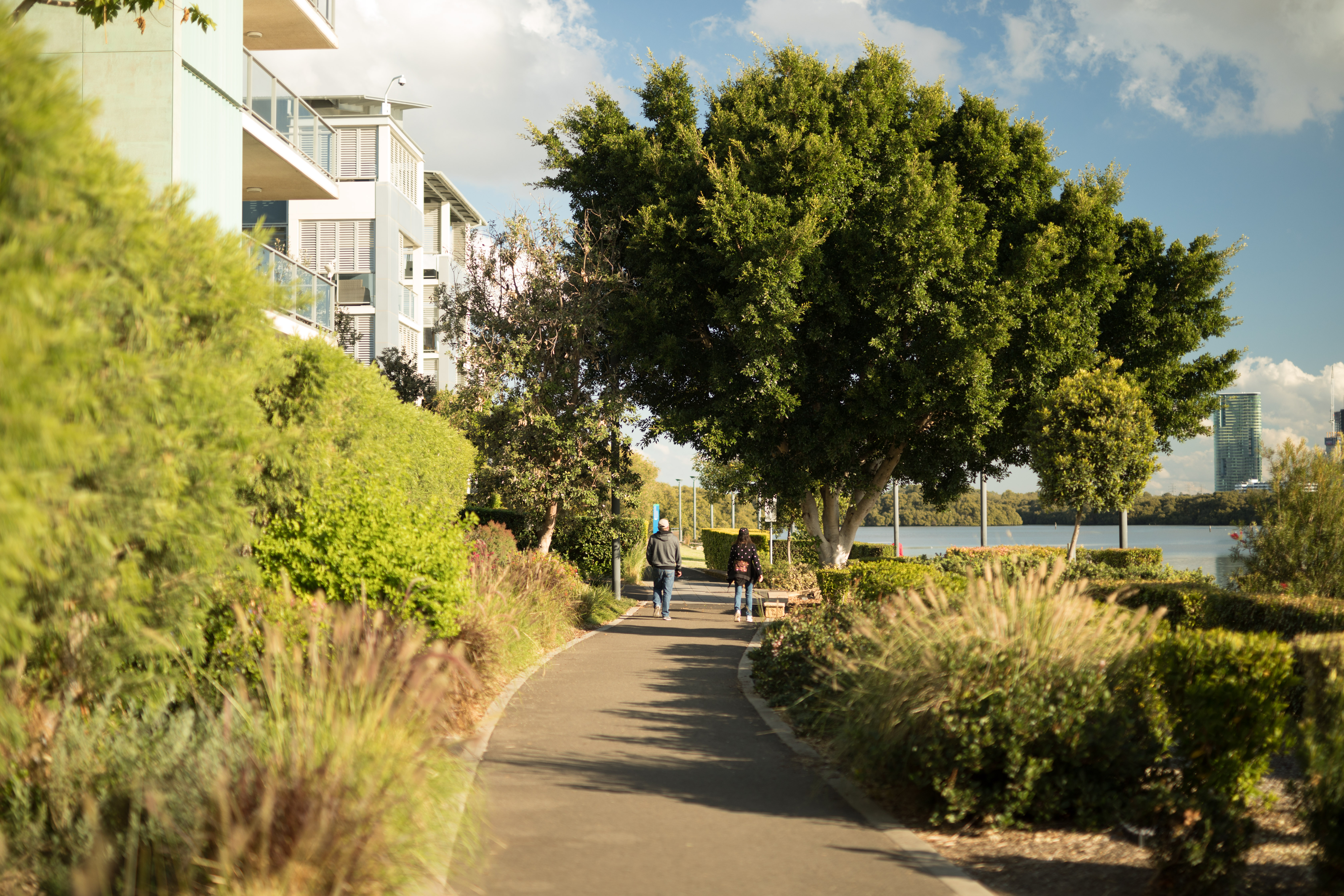 Photo of Trees in Urban Environment