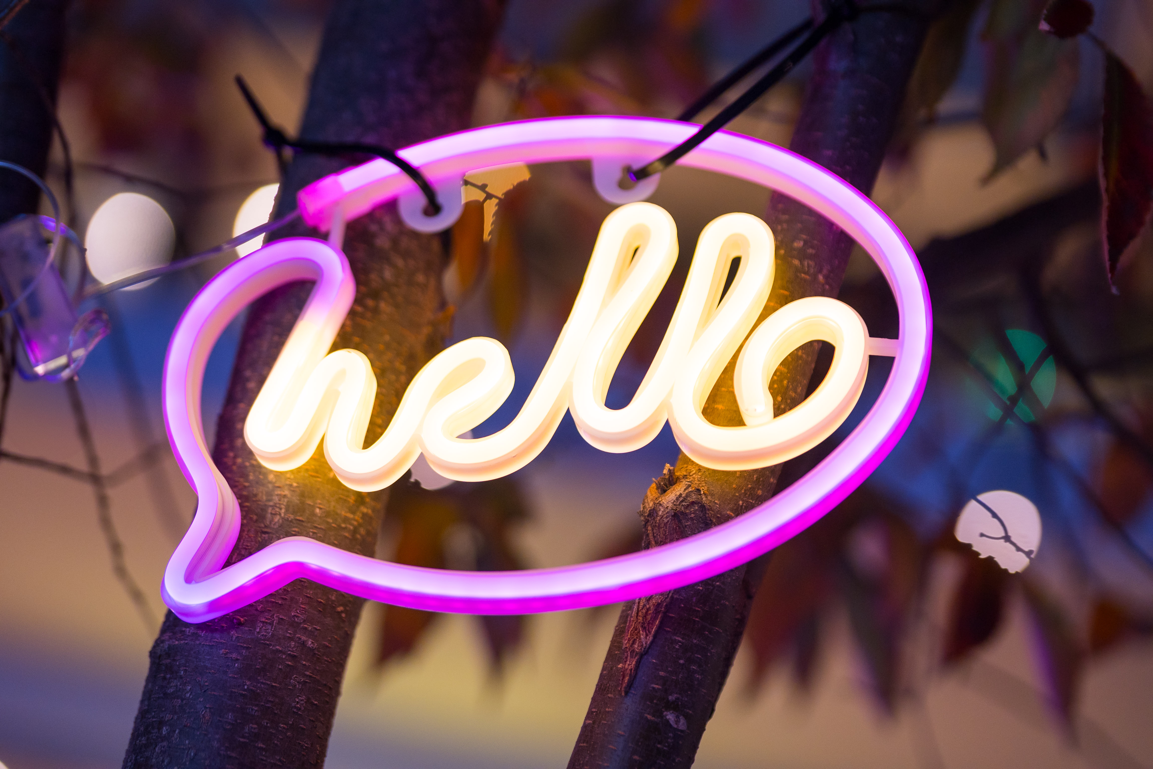 Hello Neon Light Sign