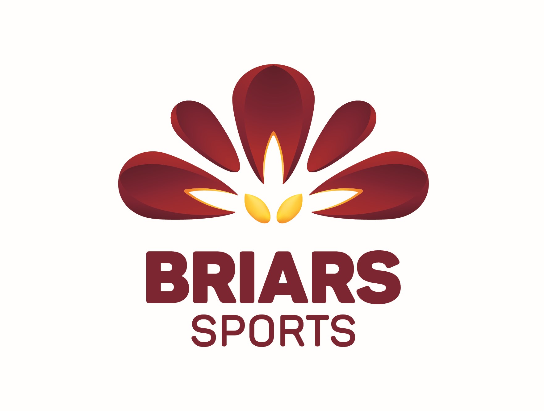 Briars logo