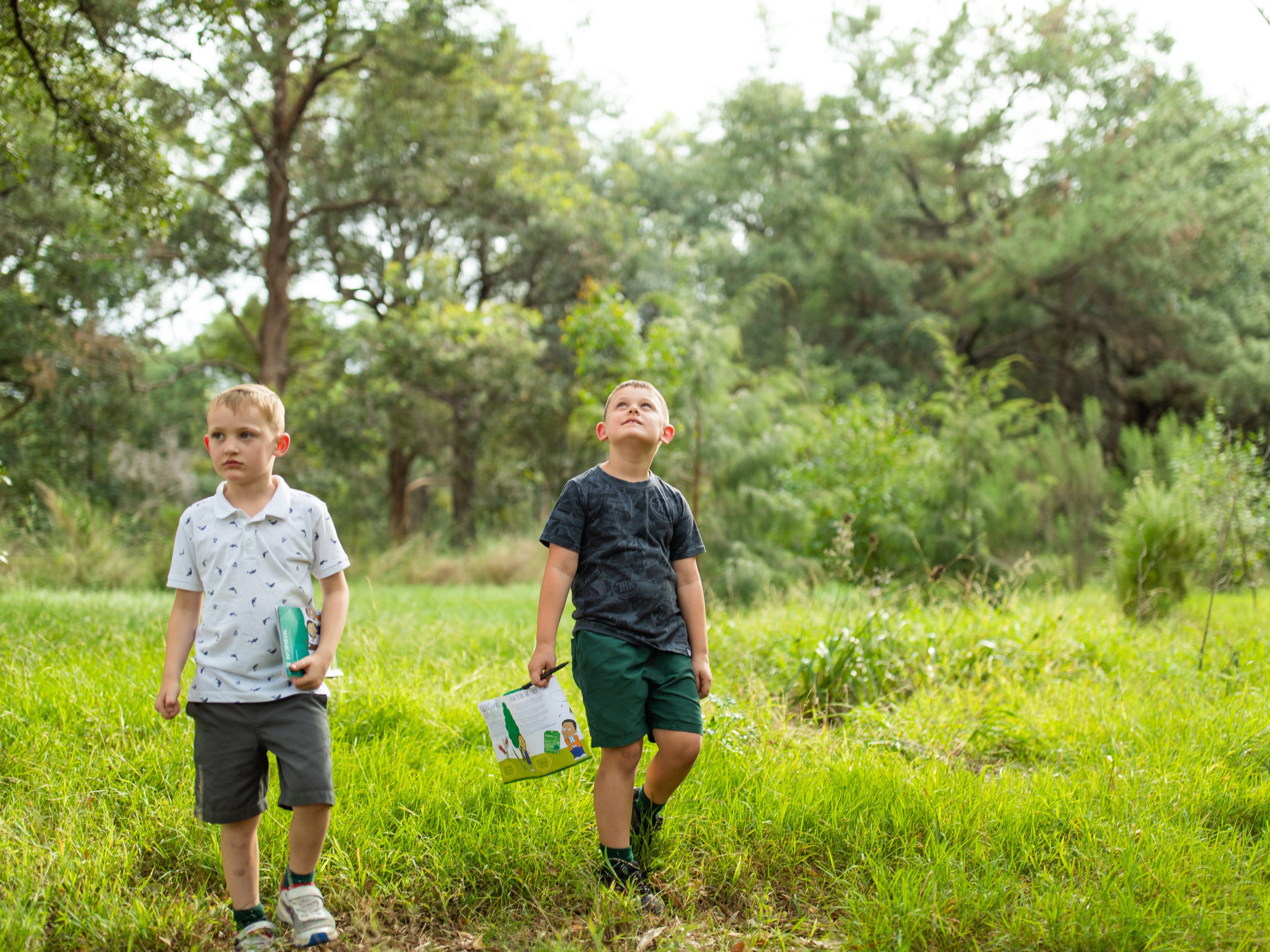 Image of children looking at trees