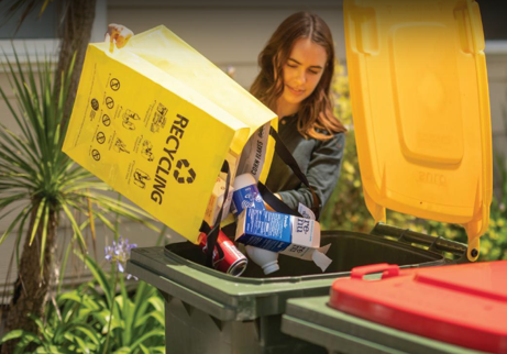 Recycling bins