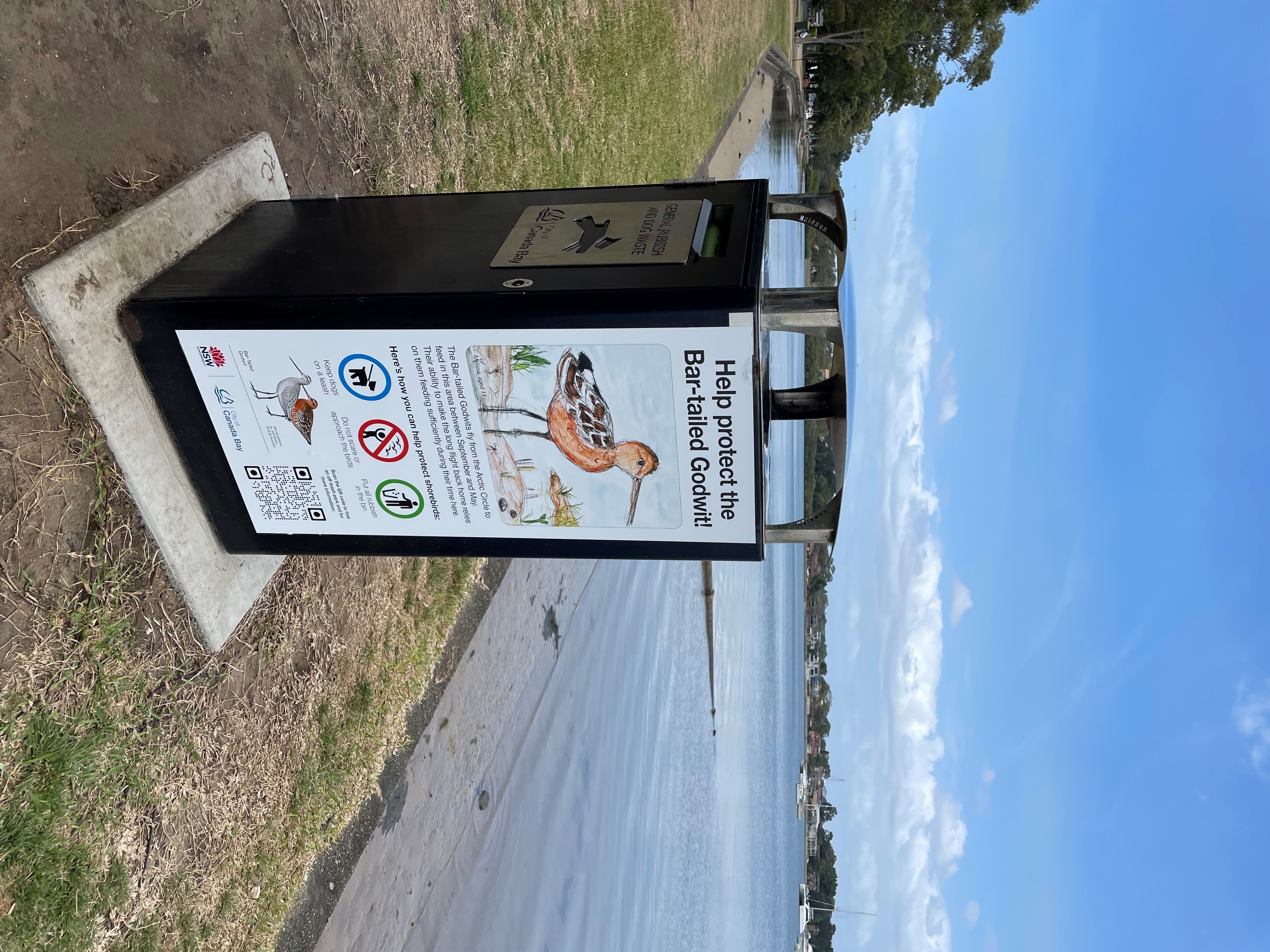 Bar-tailed Godwit artwork on bin at Hen and Chicken Bay