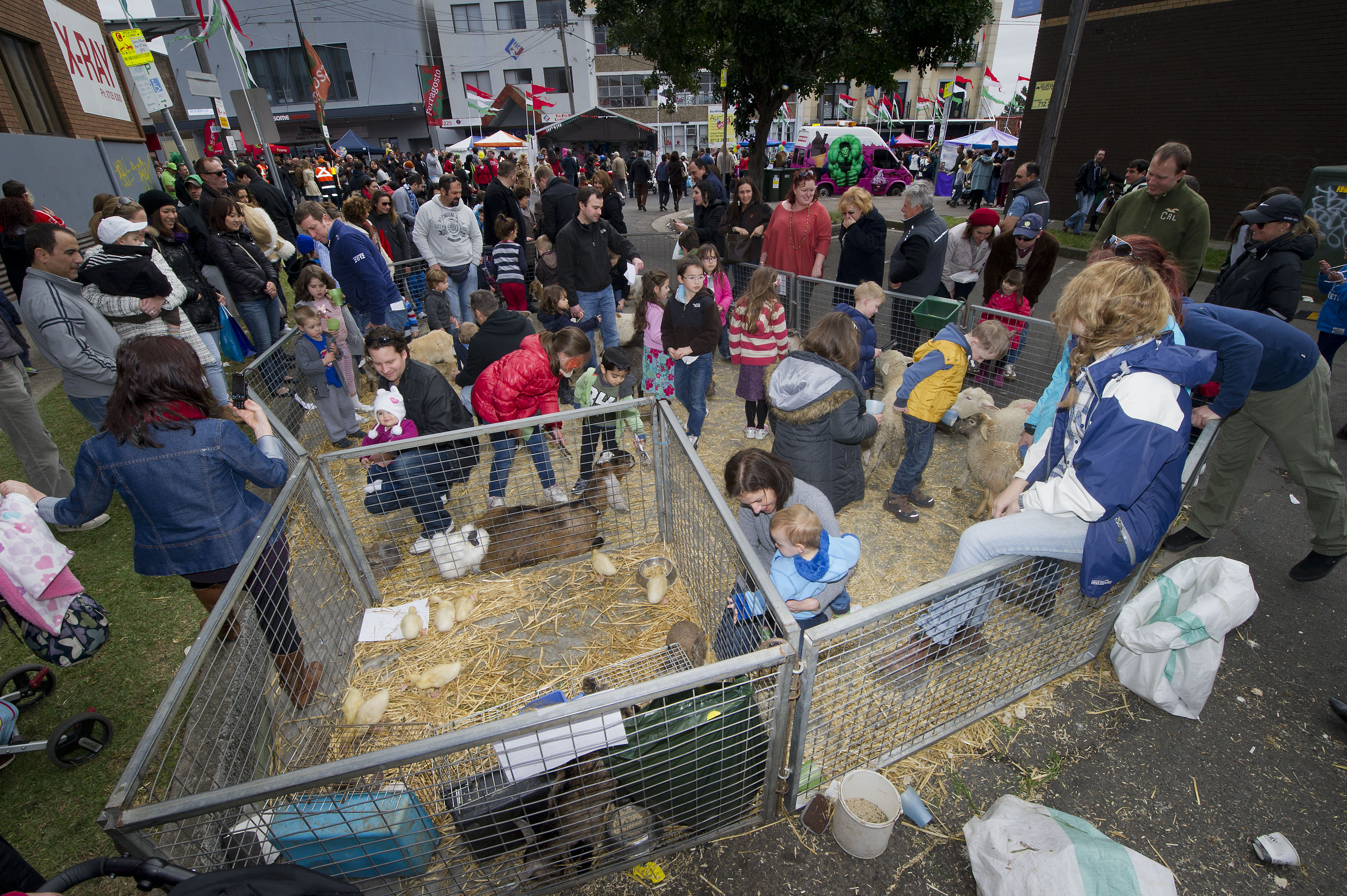 petting zoo