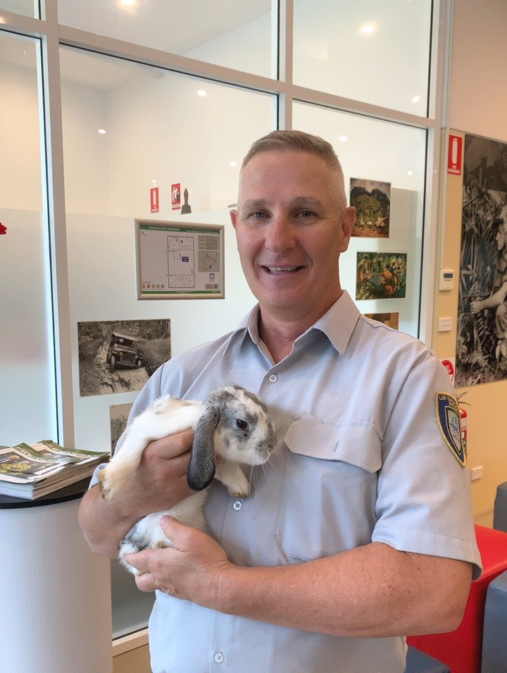 Council ranger rescuing a rabbit