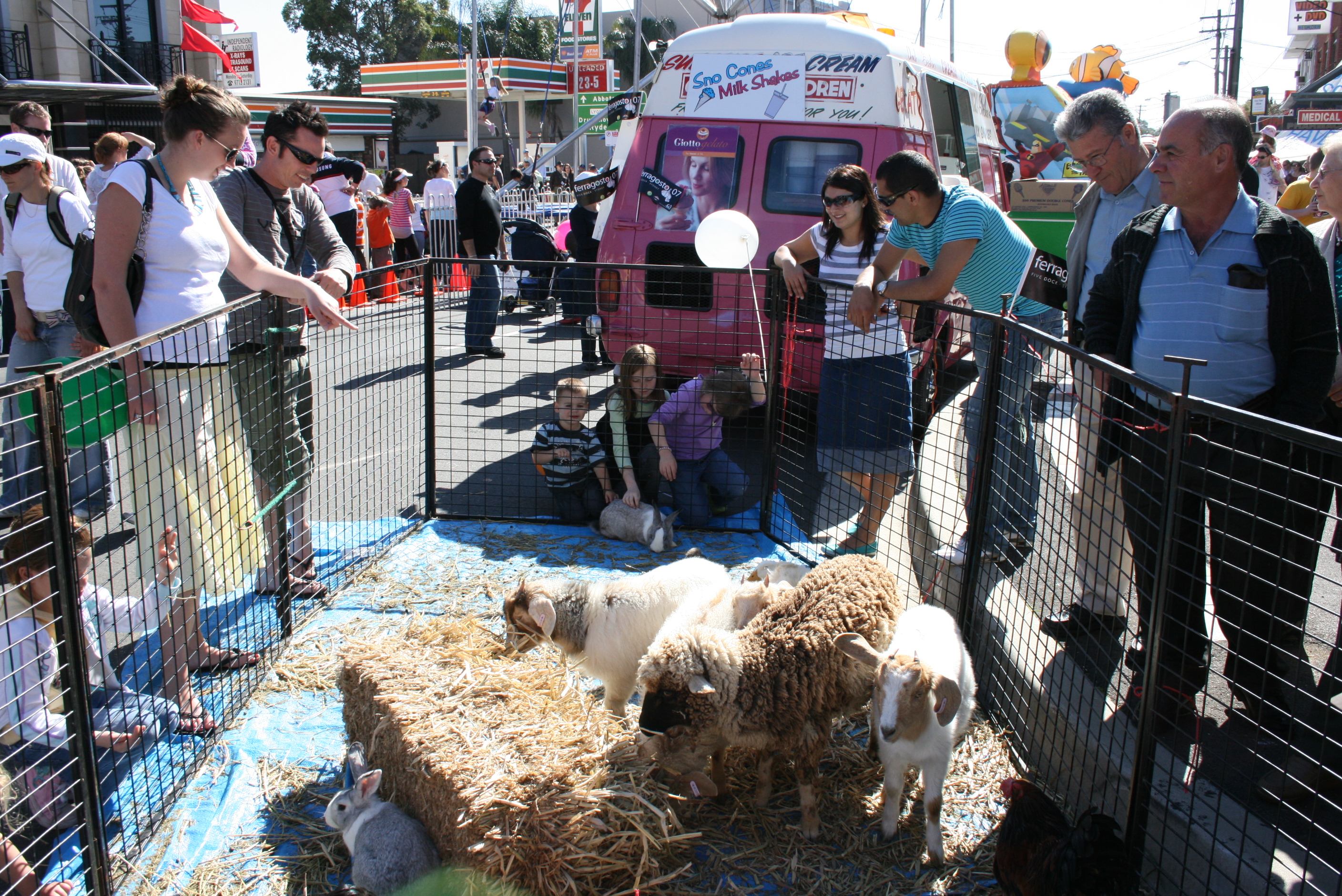 petting zoo