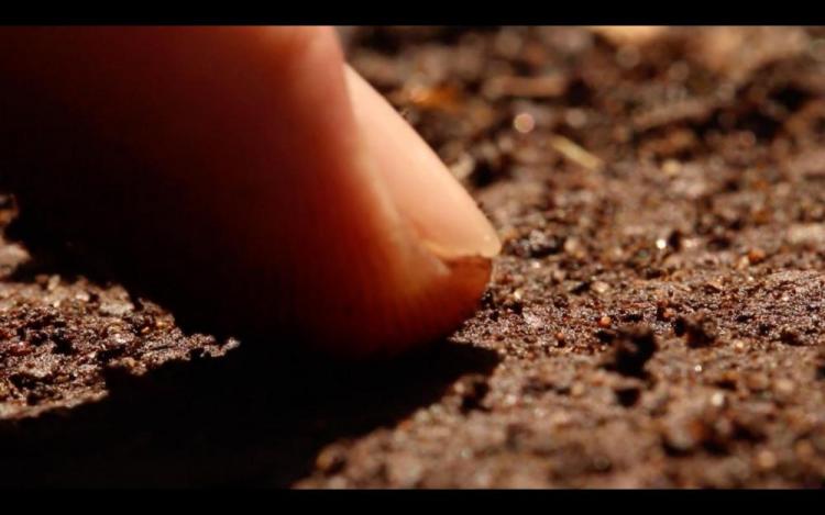 touching dirt with finger