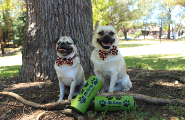 Image of two dogs with rolls of doggy bags
