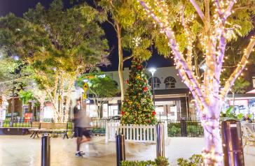 Christmas tree on Majors Bay Road, Concord