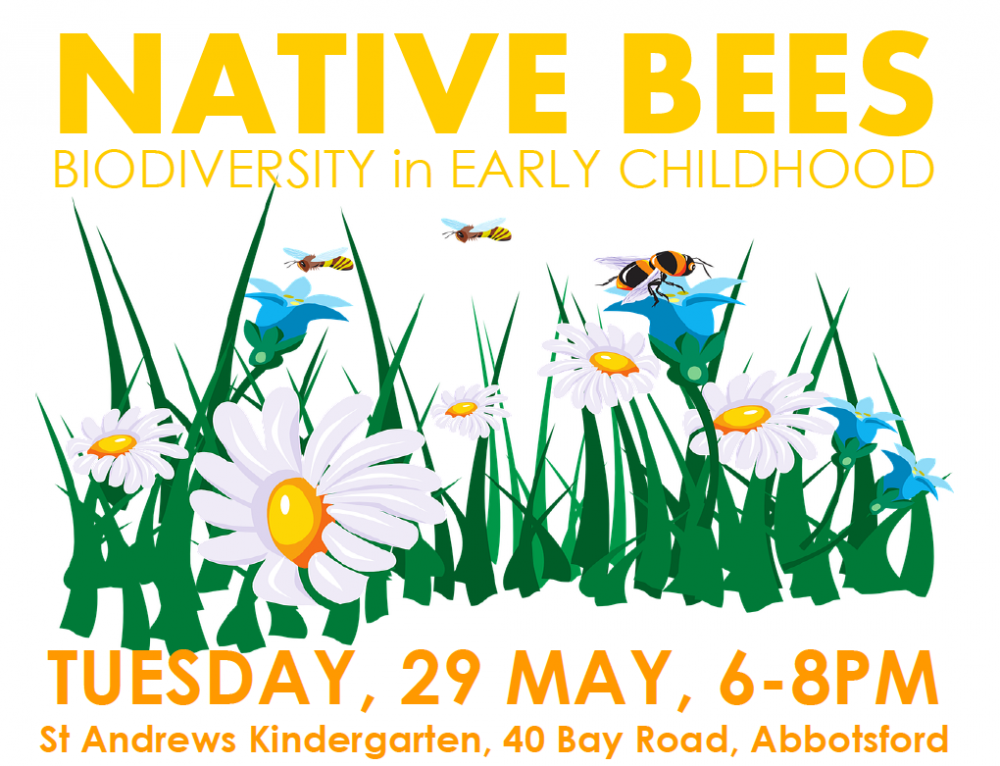 Native Bees - Biodiversity in Early Childhood