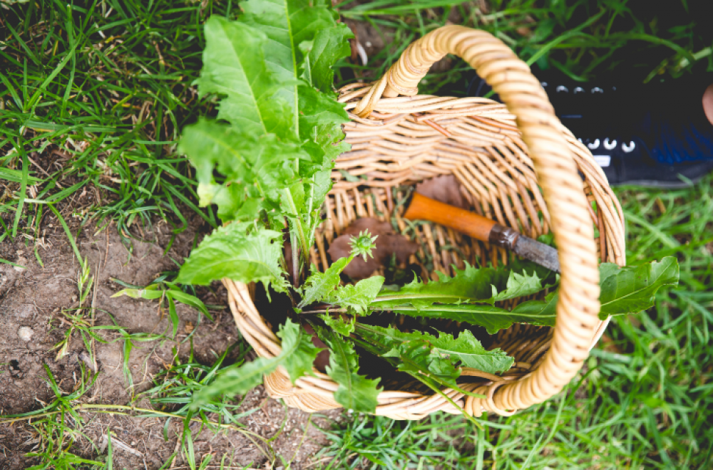 Free composting workshop