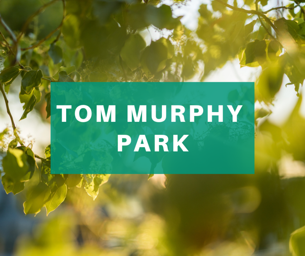 Tom Murphy Park Community Consultation