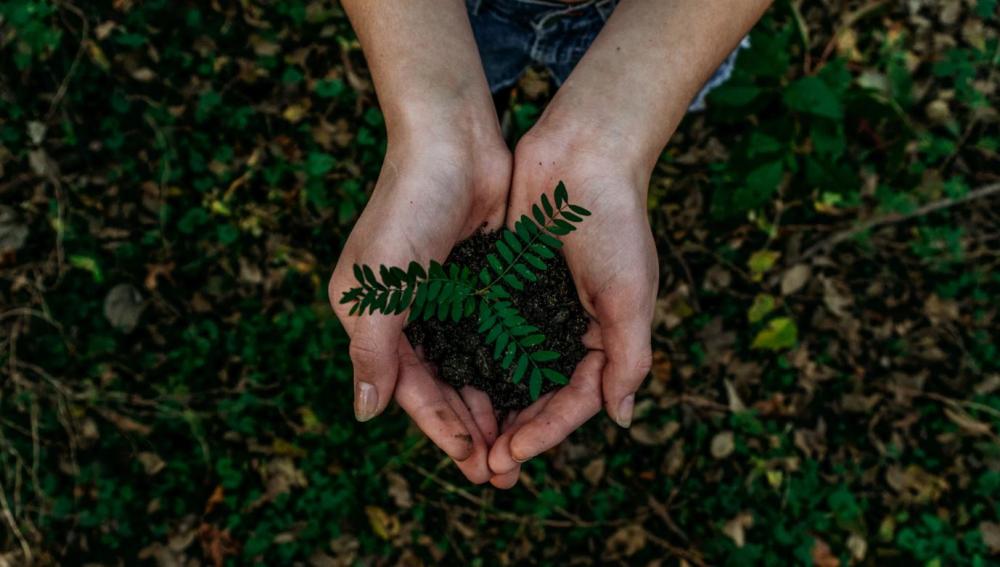 Nature Connection Workshop