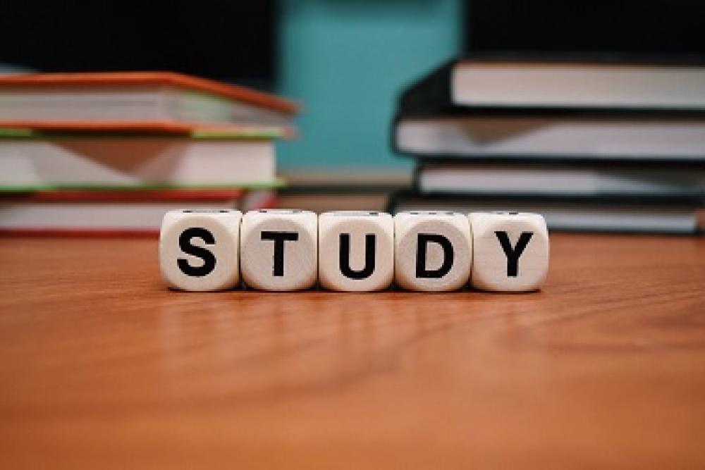 HSC Seminar: English paper 1 with Larry Grumley