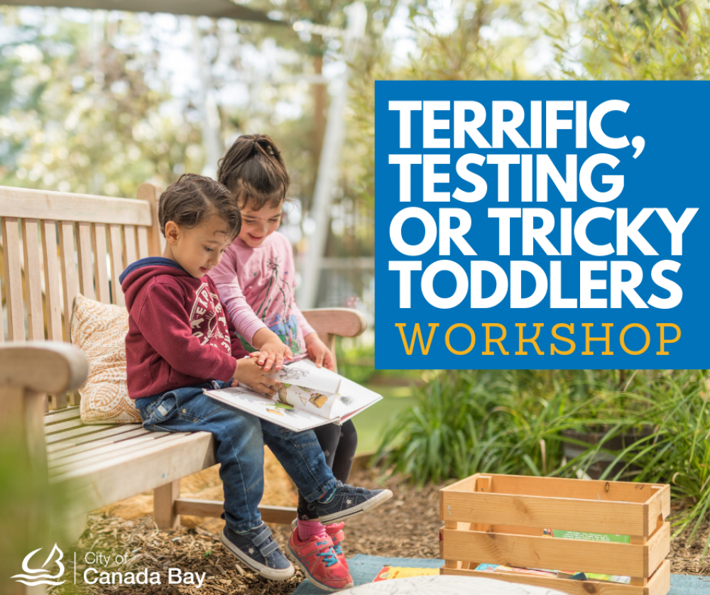Terrific, Testing or Tricky Toddlers Workshop