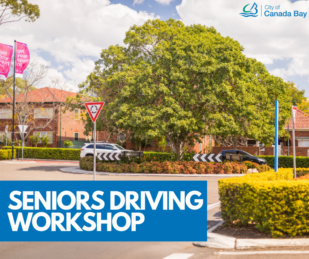 Seniors Driving Workshop