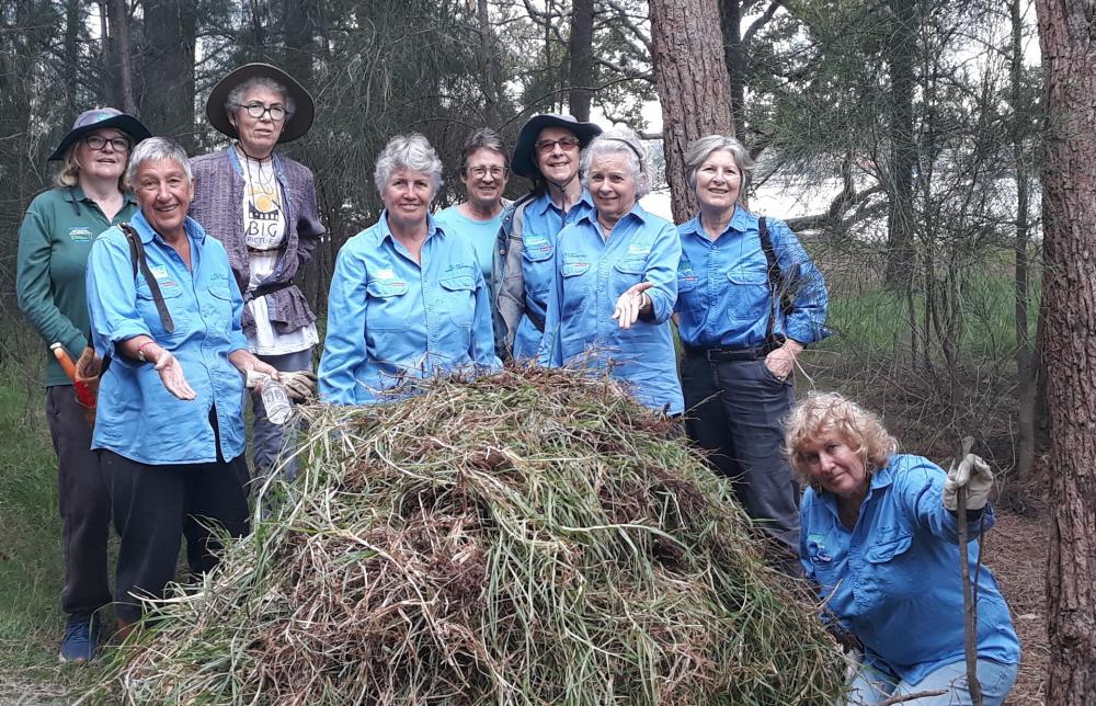 Yaralla Bushcare Group