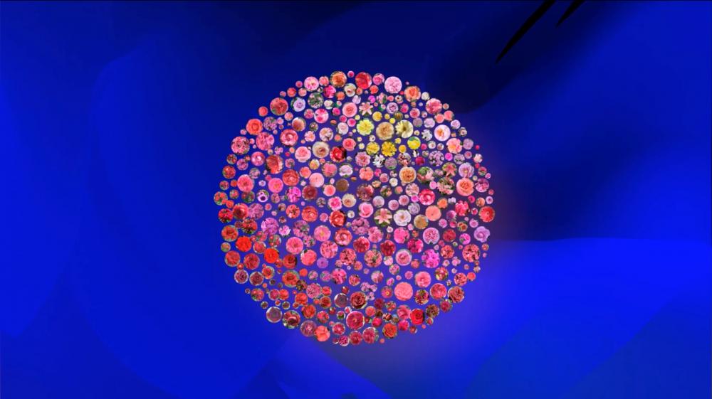 The Digital Gallery: Full Moon and the Bloom