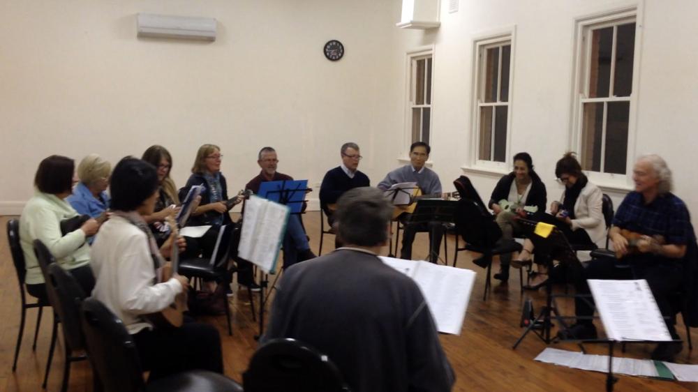 Ukelele Instrumental Singing Classes