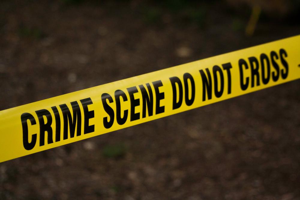 School Holiday Fun: CSI Forensic Science workshop