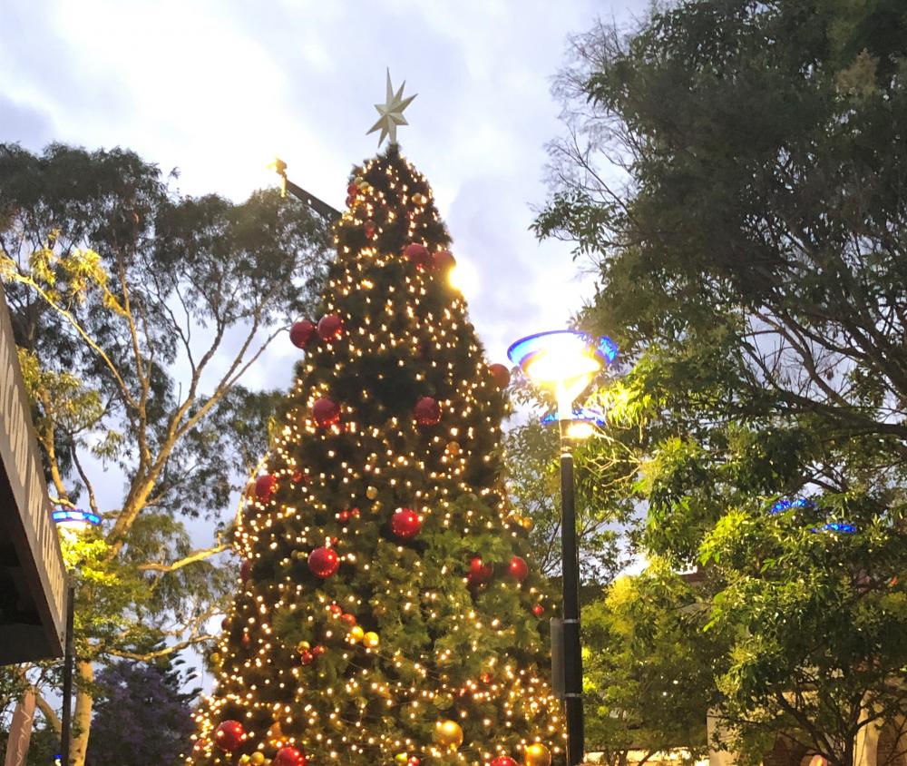 Majors Bay Road Christmas carol extravaganza