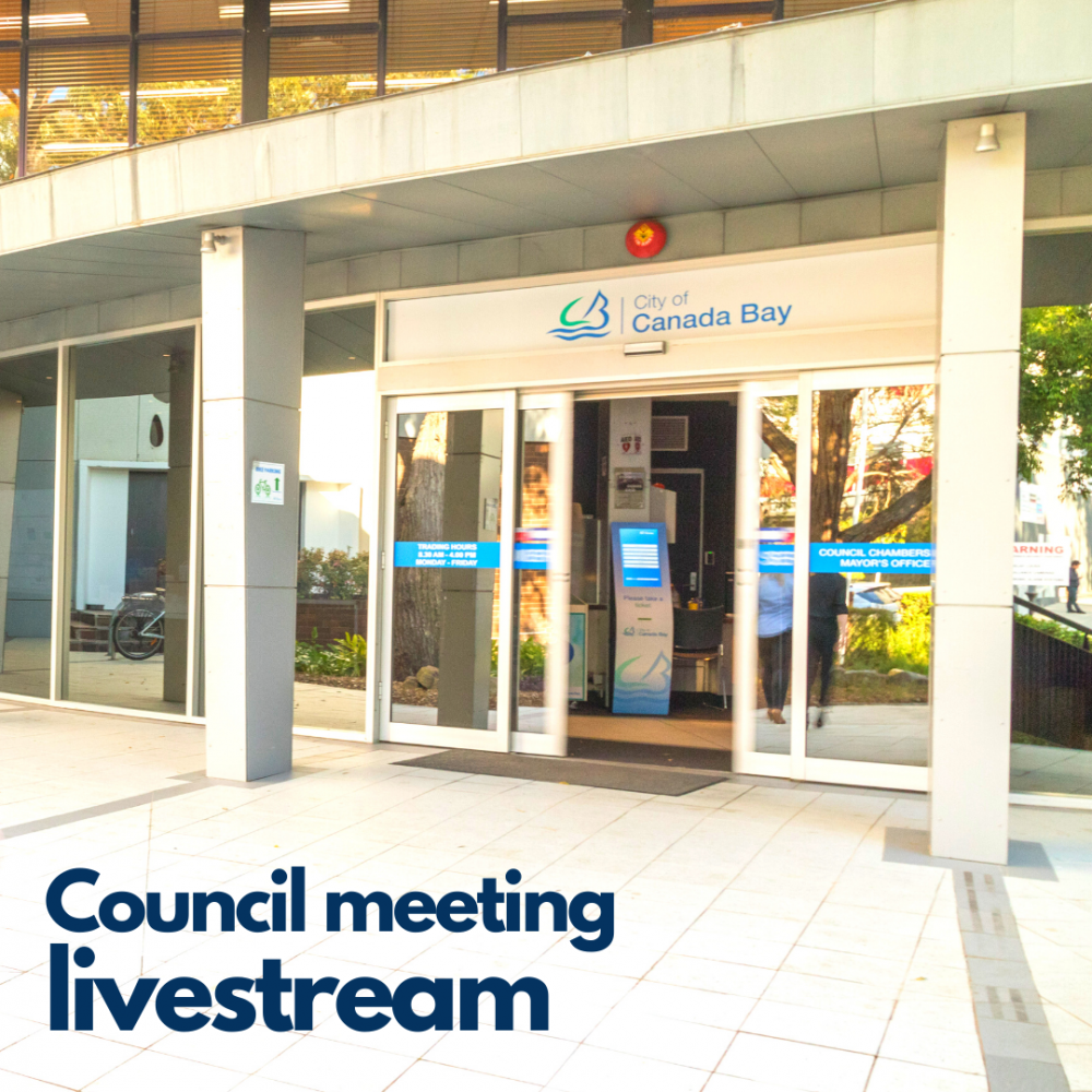 Council meeting