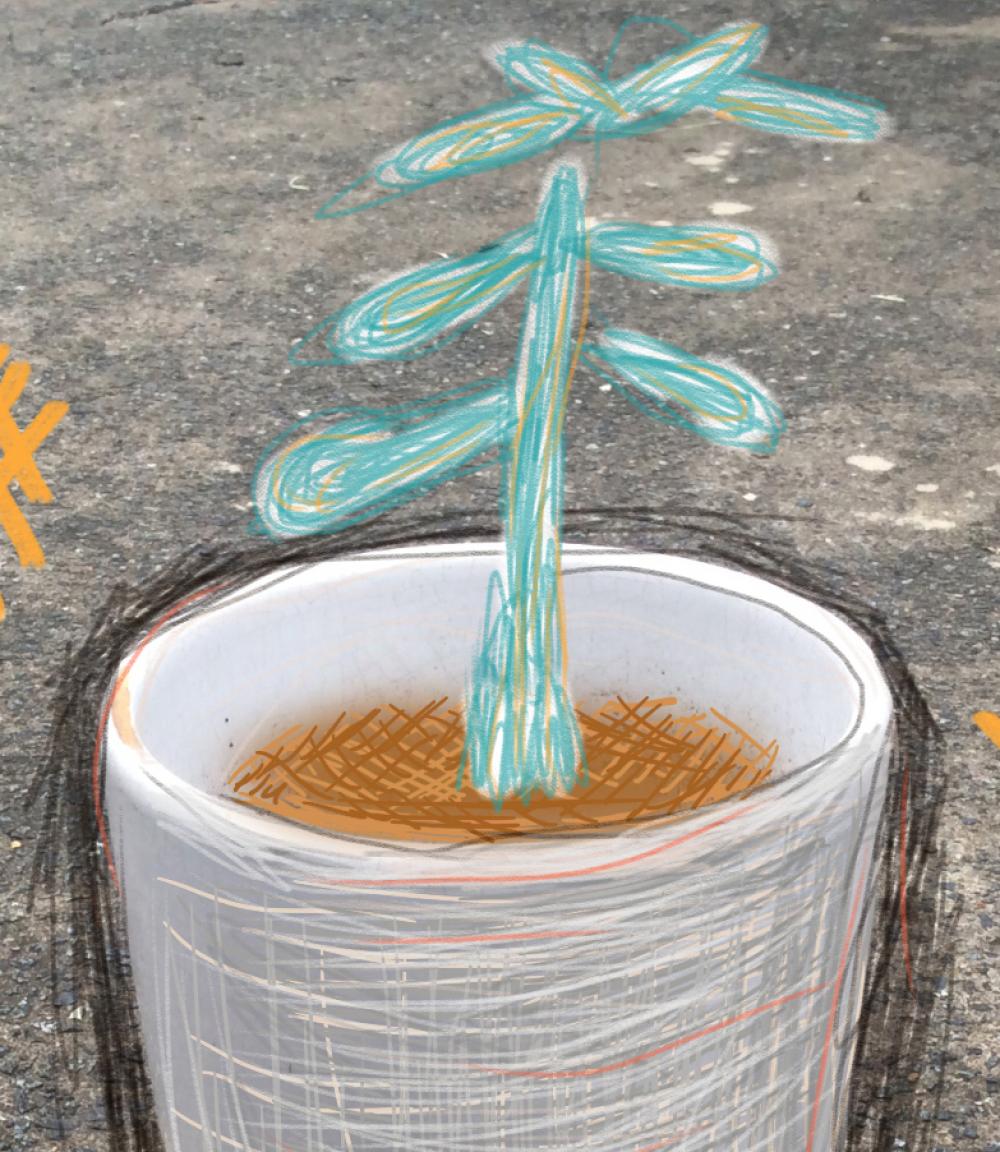School Holiday Fun: SketchBook Art Challenge