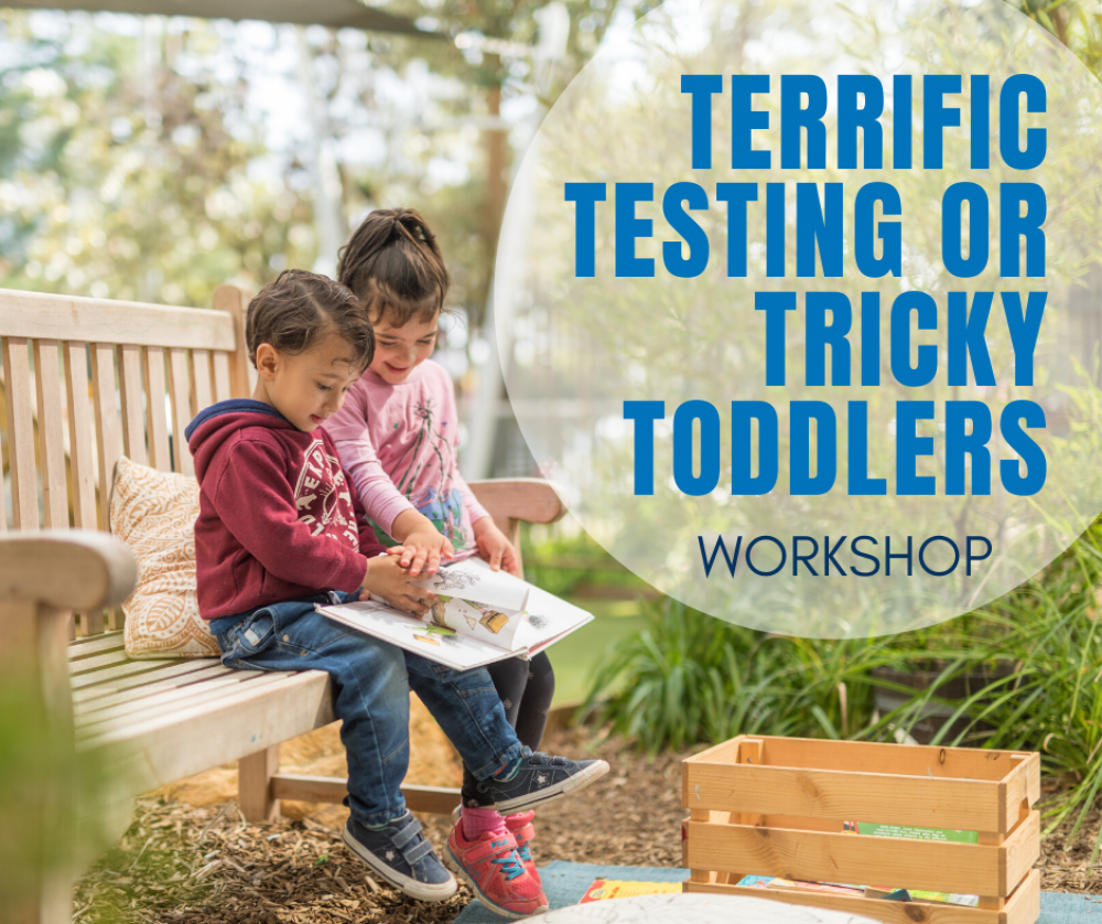 Terrific, testing or tricky toddlers Zoom workshop