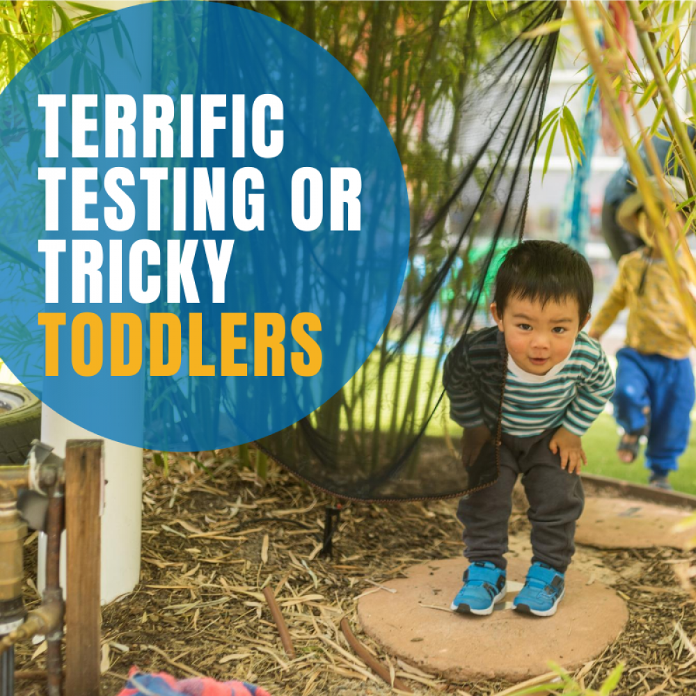Terrific, testing or tricky toddlers