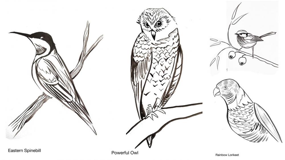 NAIDOC Week: Drawing workshop with Noni Cragg