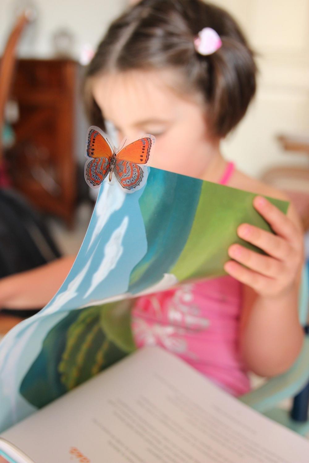 Preschool Storytime at Concord Library Session 1 (Term 1, 2022)