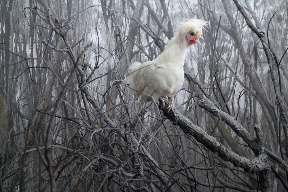 The Digital Gallery: Unfamiliar Corners of the World