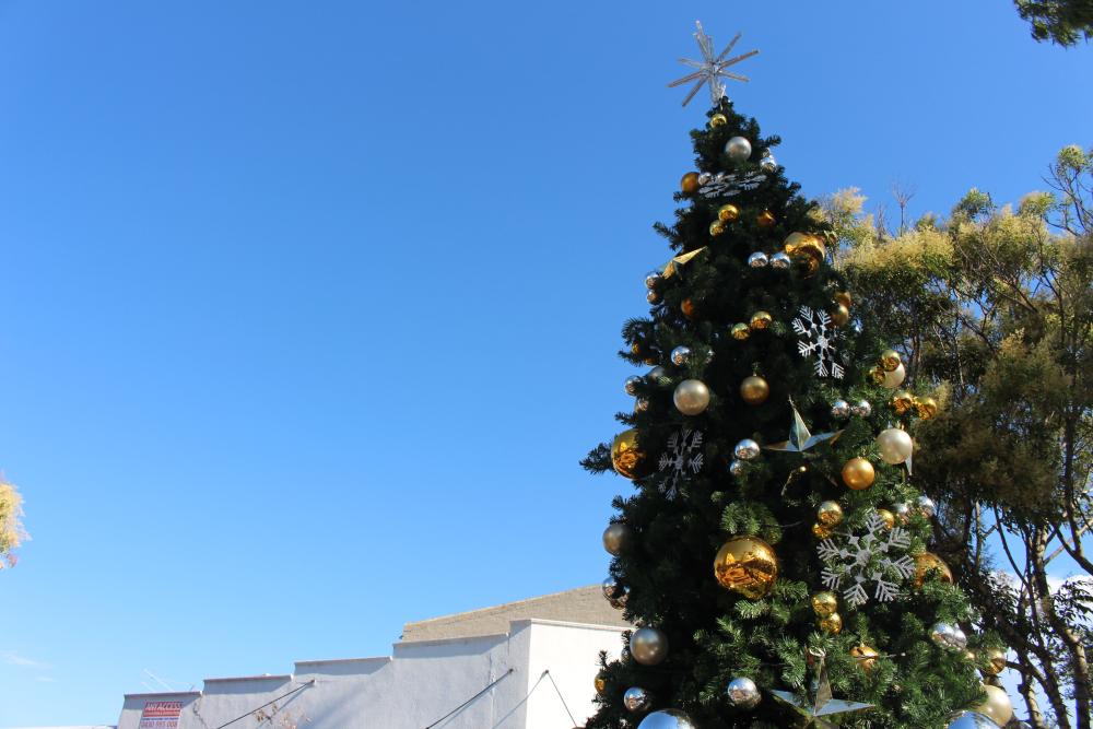 Christmas carols in Concord