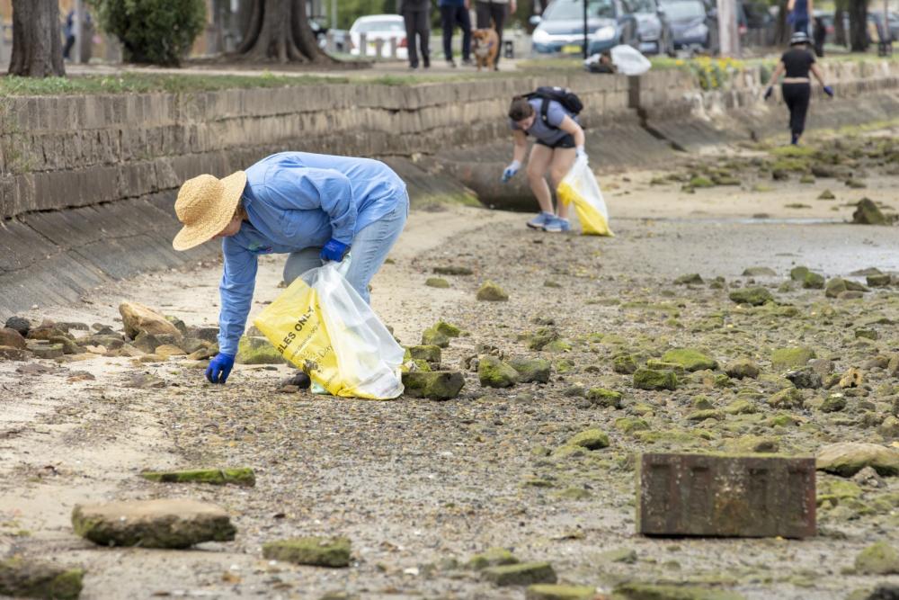 Bayview Park Community Foreshore Clean-up
