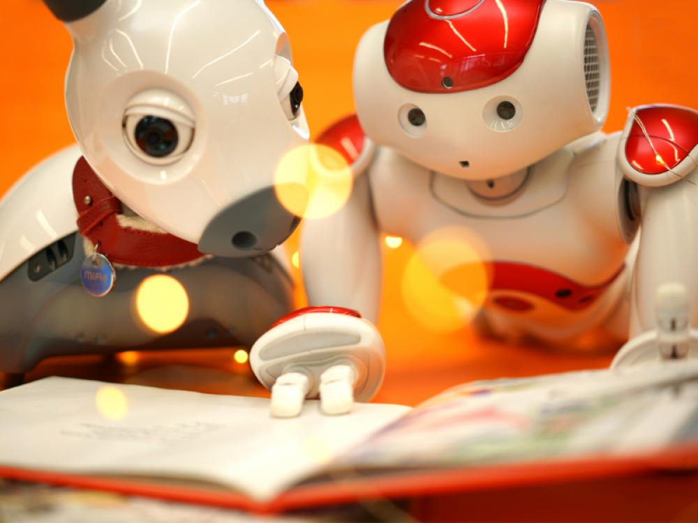 School Holiday Fun: Coding Stories with Ruby and Chip