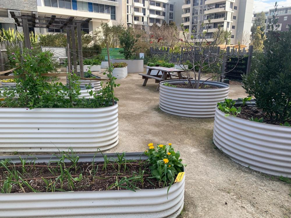 Rhodes Community Garden Open Day
