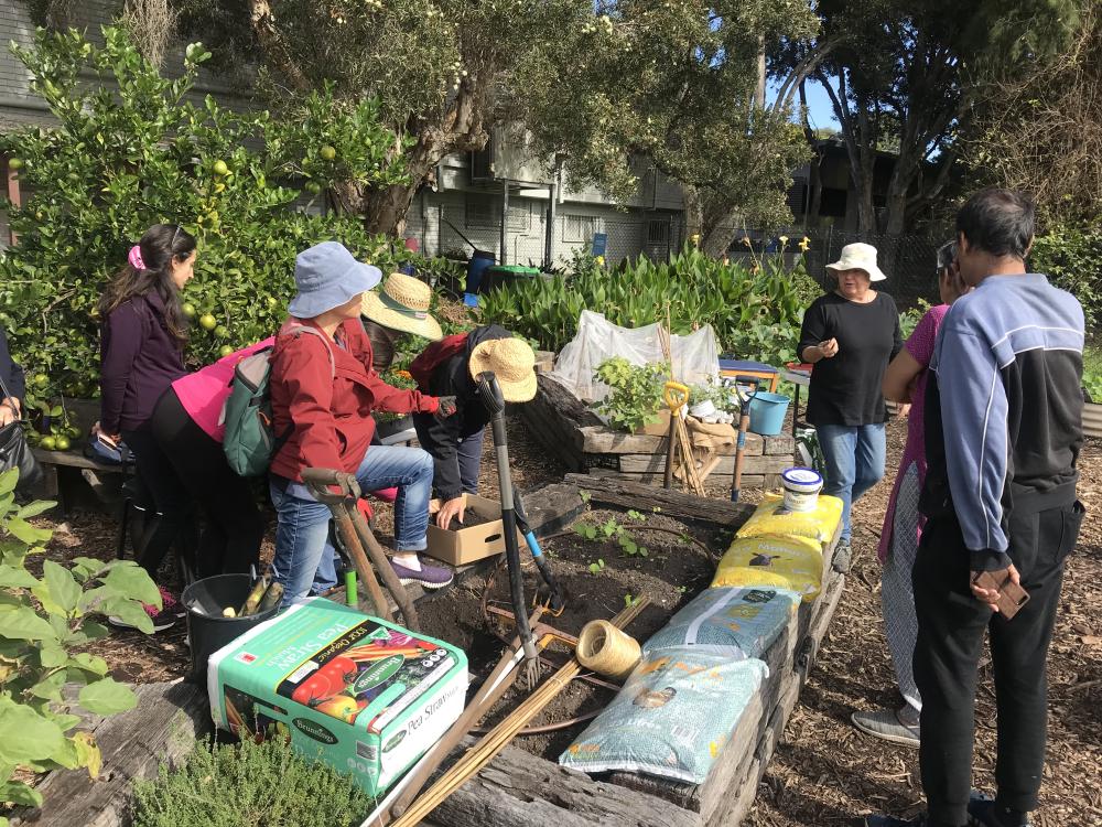 Concord Community Garden Workshop