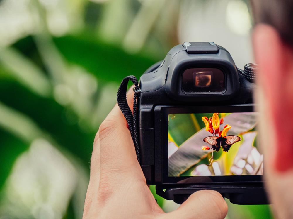Youth Week Photography Competition 