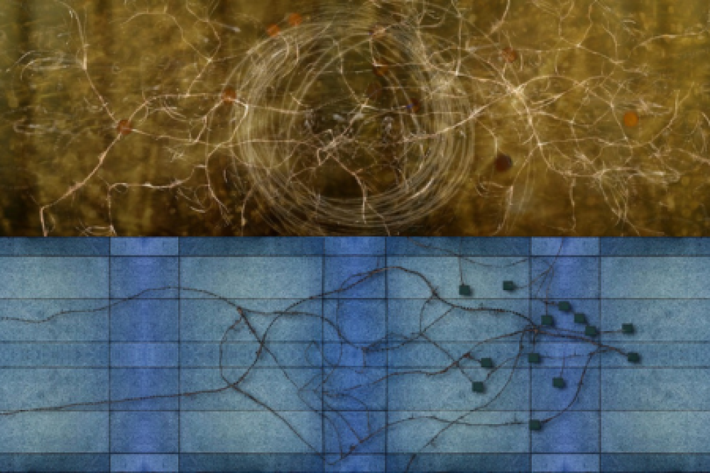 The Digital Gallery: ENERGY RETICULATION