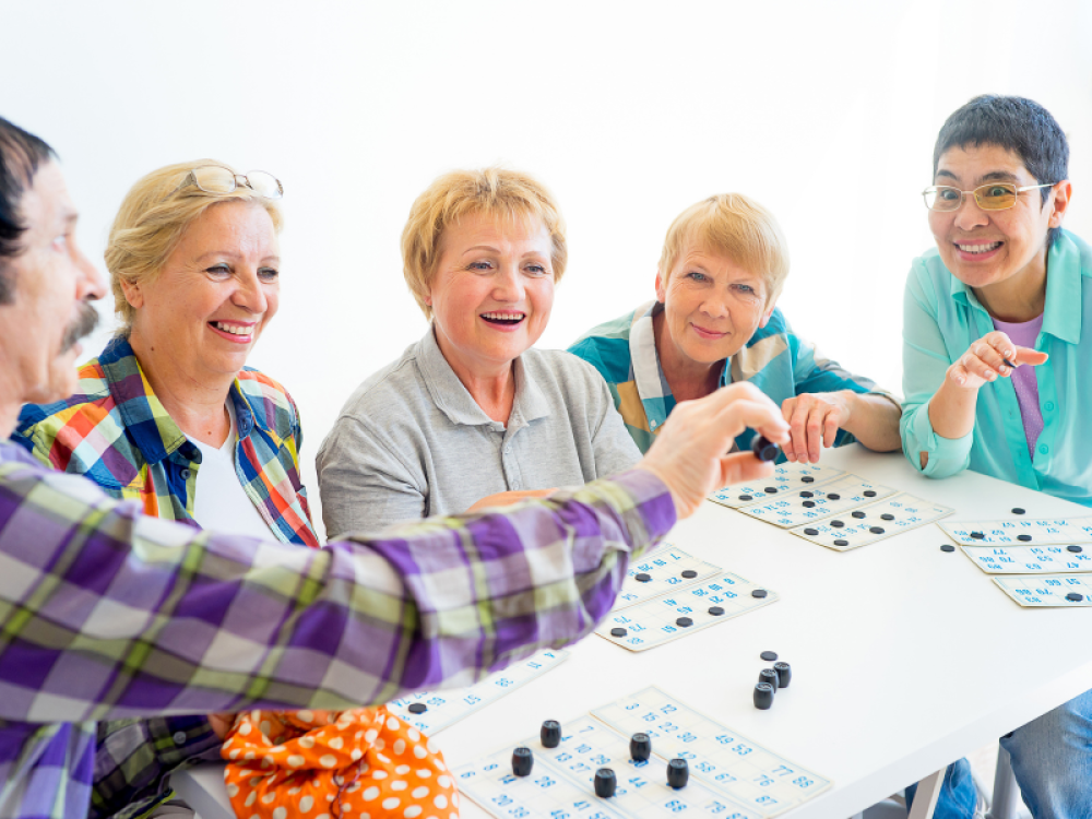 Seniors Festival: Bingo Bonanza