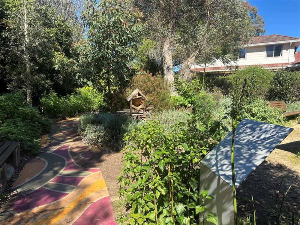 Seniors Festival: 5 Senses Garden Workshop