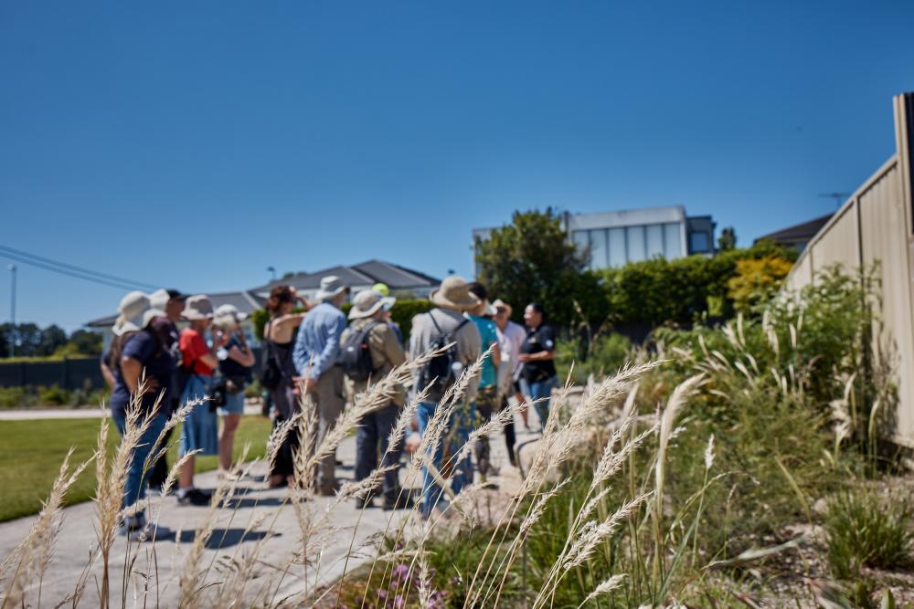 Seniors Festival: Walk on Wangal Nature Trail Guided Tour