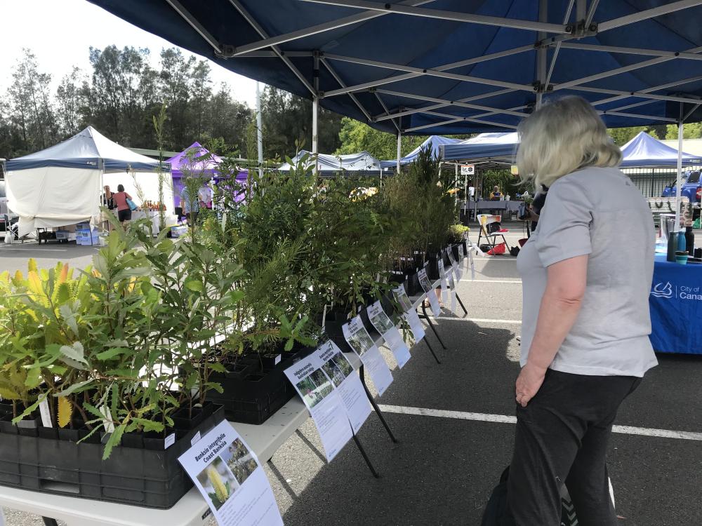 Native Plant Giveaway
