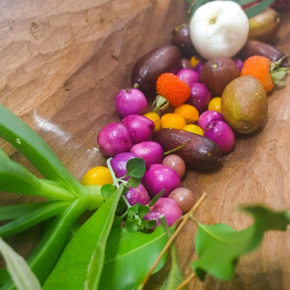 NAIDOC Week: Bush Cooking with Koori Kinnections (Ages 13-18)