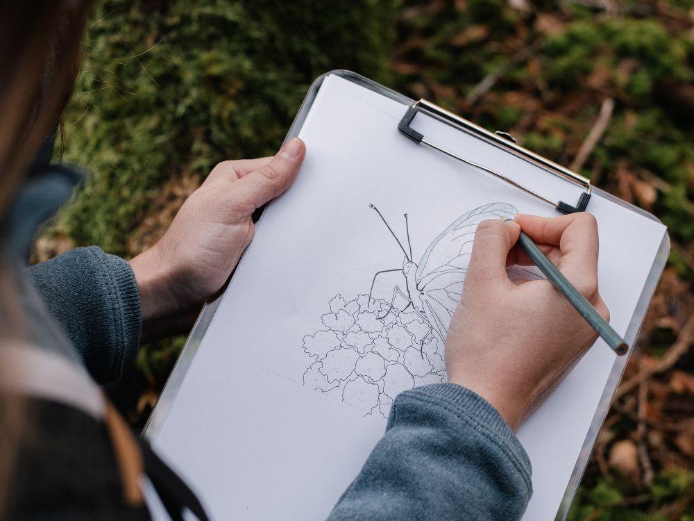 National Tree Day Art Workshops