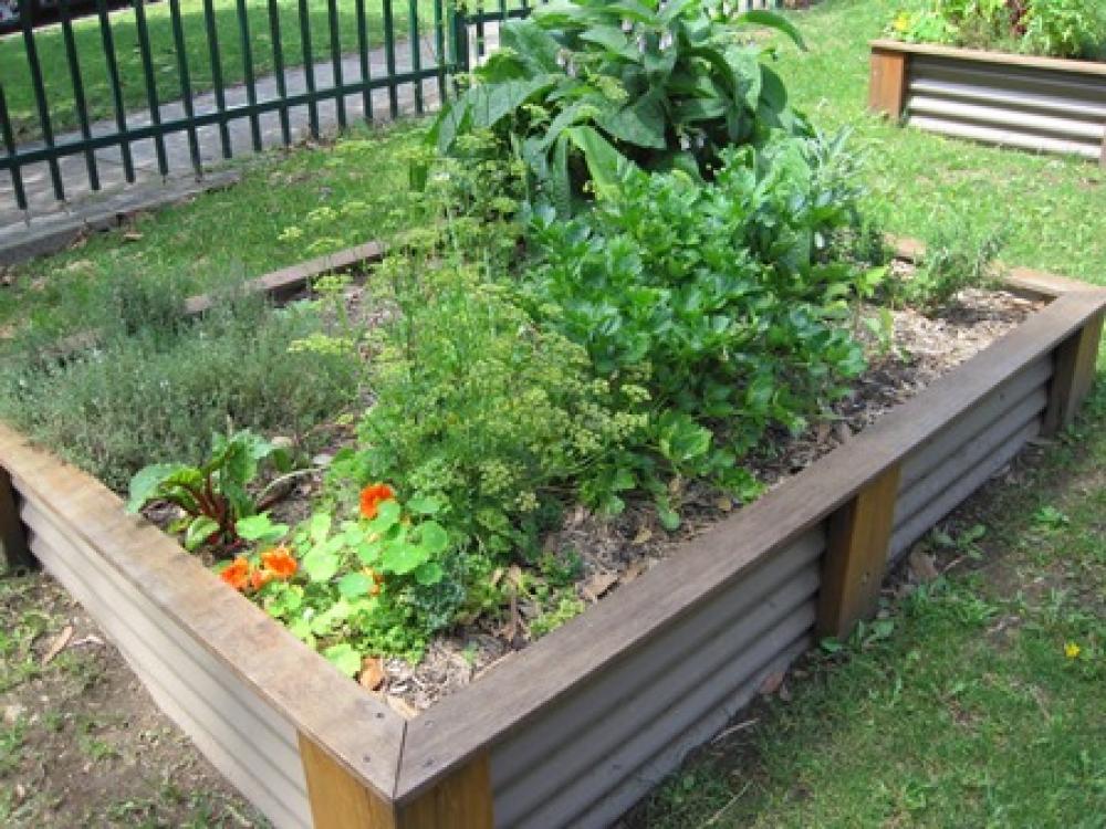 Waterwise Gardening
